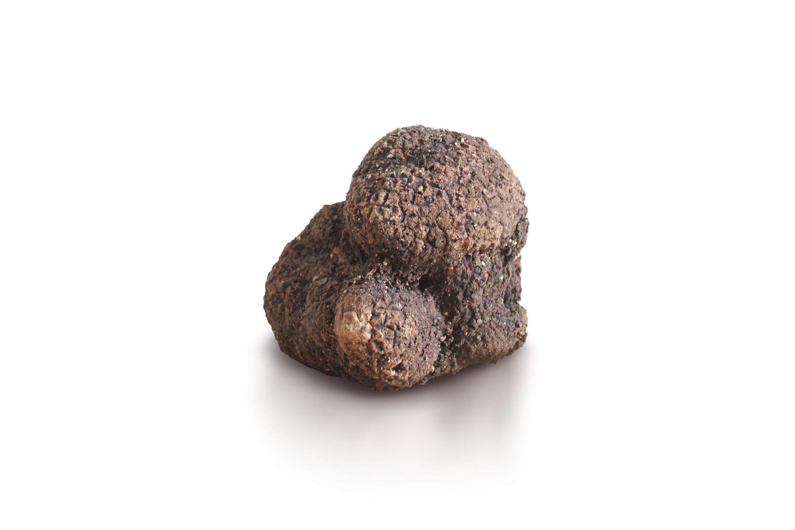 Tartufo Nero Pregiato